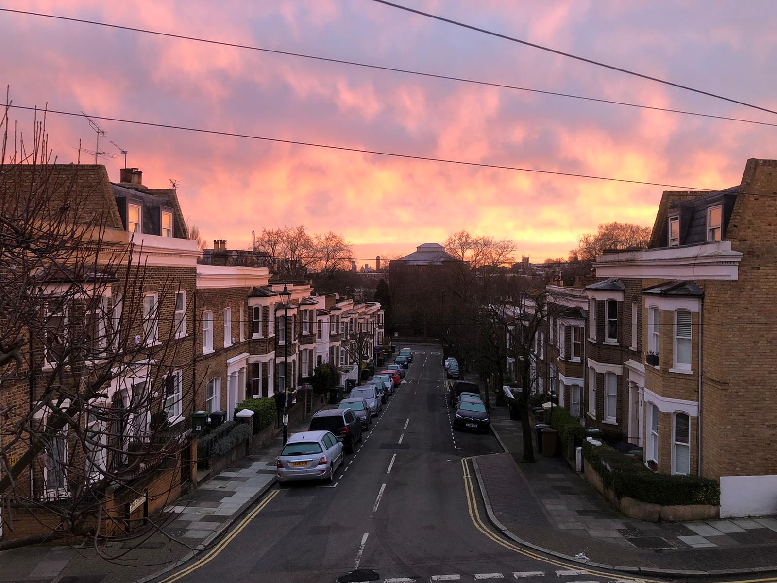 Road of houses in St John's conservation area at sunset.