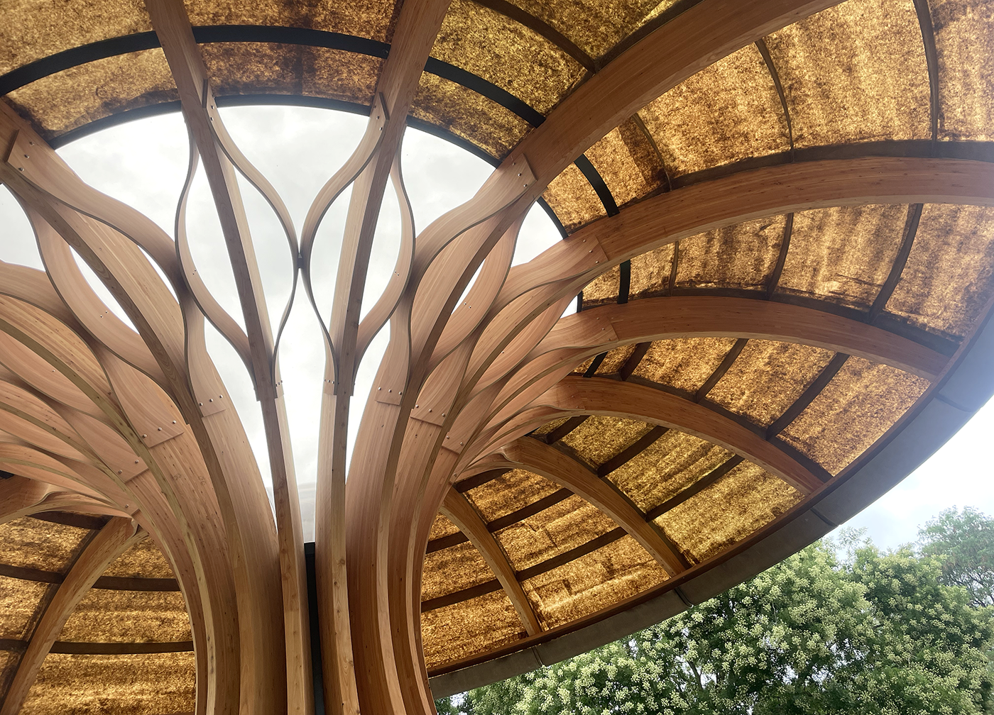The interior view of the pavilion structure. Moulded wood and an outer skin are reminiscent of looking upwards inside a giant mushroom or man-made tree. 