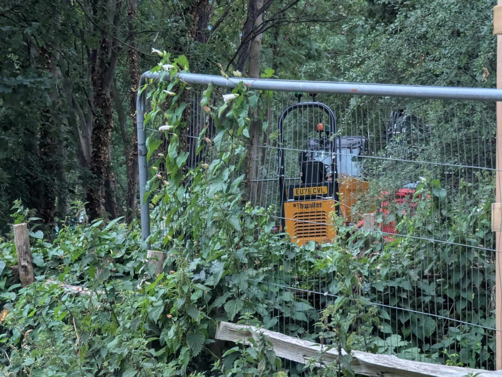 Heave construction vehicle surrounded by leaves and undergrowth.