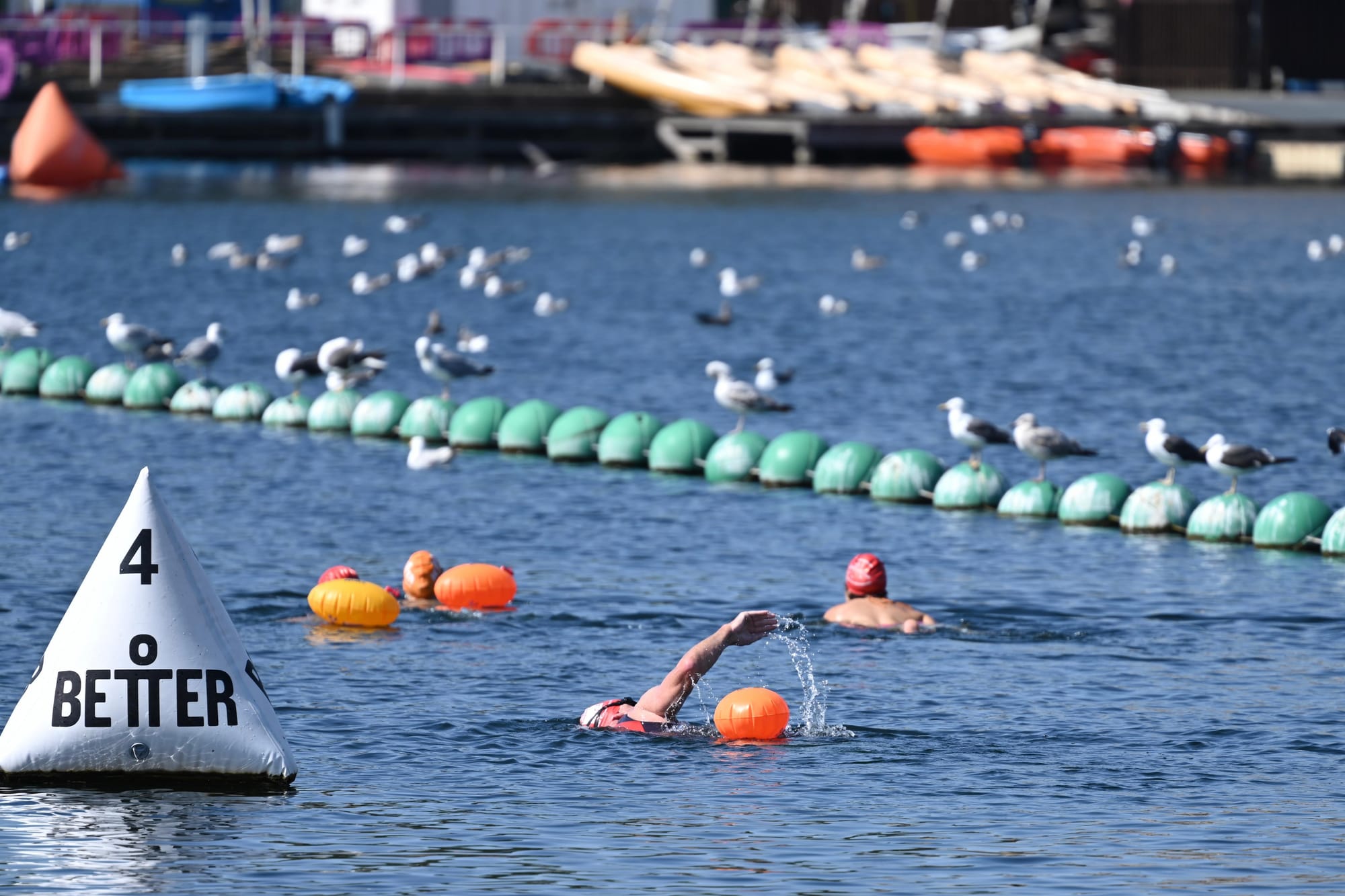 Open water swimmers at West Reservoir, Hackney with seagulls sitting on a line of boulders.