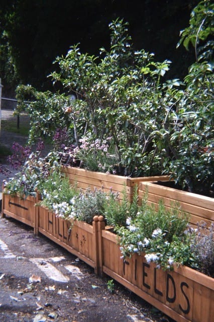 Planters with flowering green plants and words 'Hilly Fields' with an arrow painted on.
