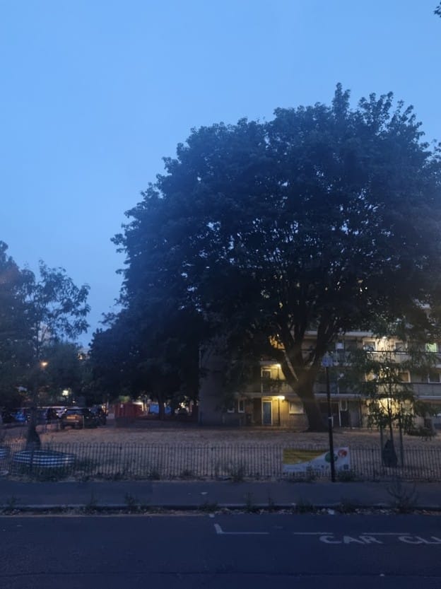 Evening shot of green space at Sayes Court with mature trees but railings around.