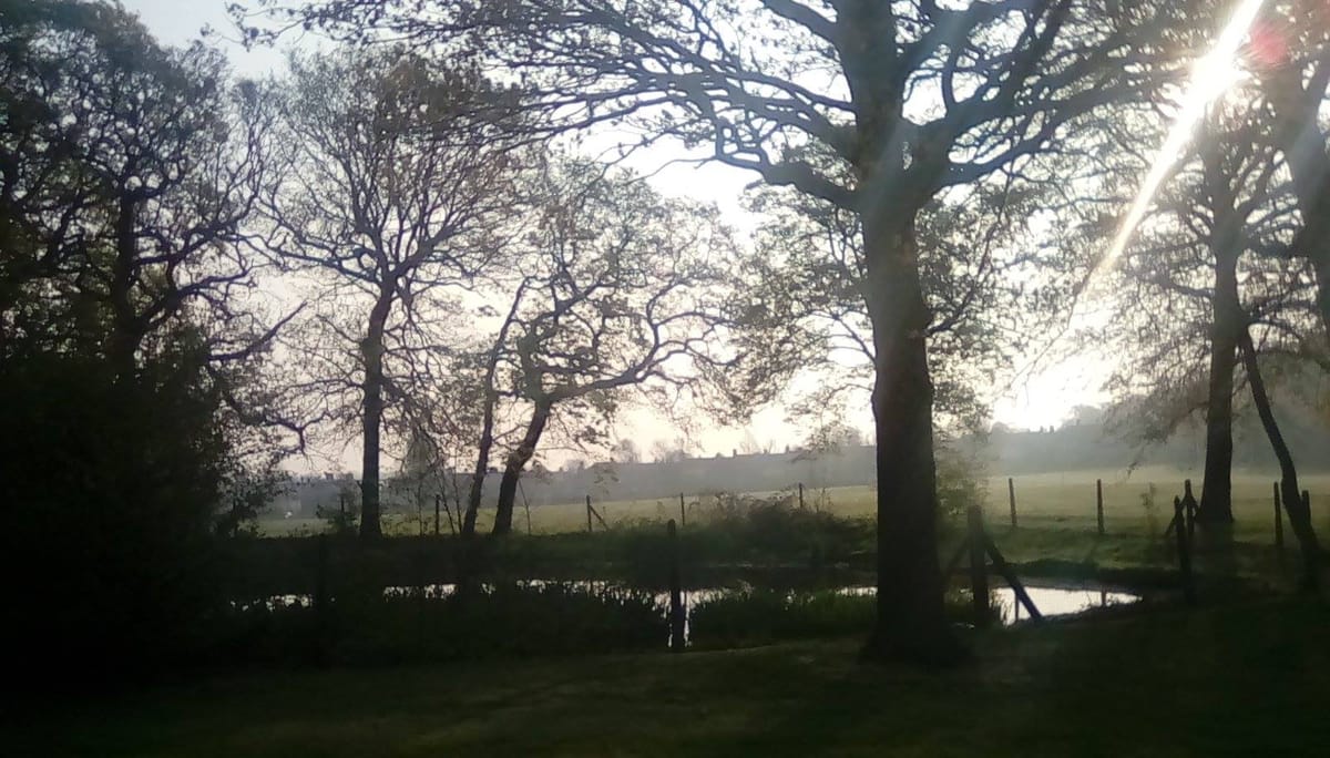 "Ecological vandalism": plans for artificial grass football pitch at Whitefoot Lane, Downham