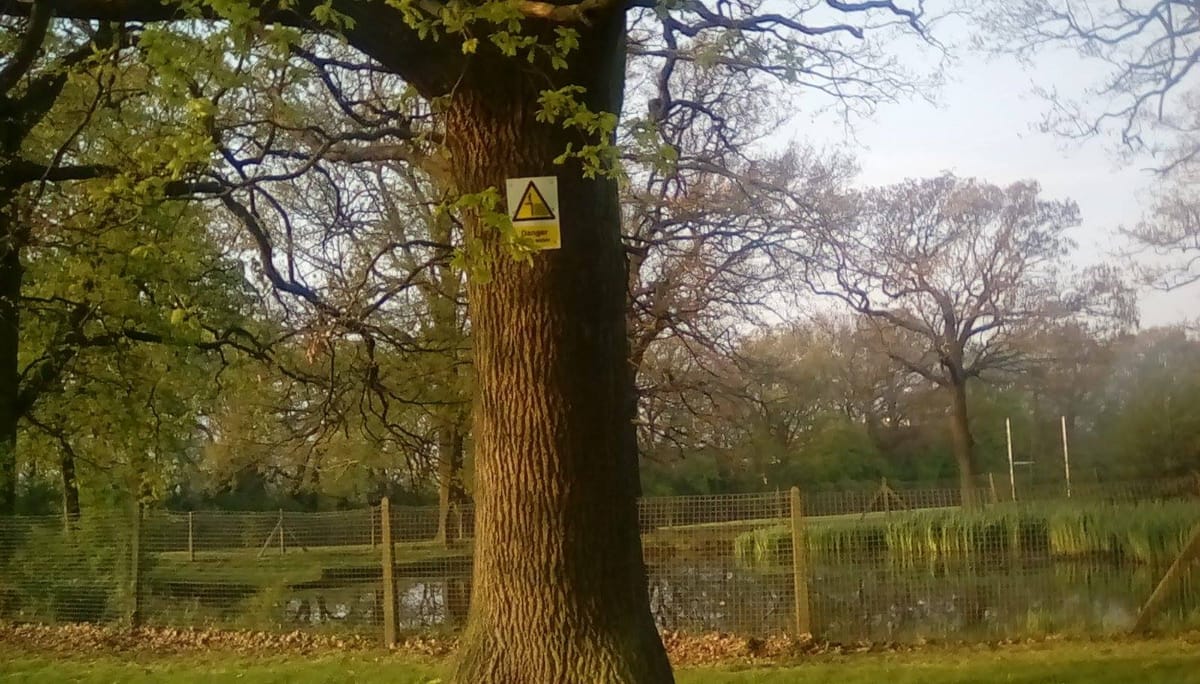 Green Woman Oasis project, Downham: the community had a plan for health and nature - what happened?