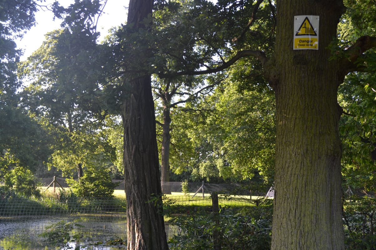 Calls to scrap plans for crumb rubber football pitch at Whitefoot Lane, Downham