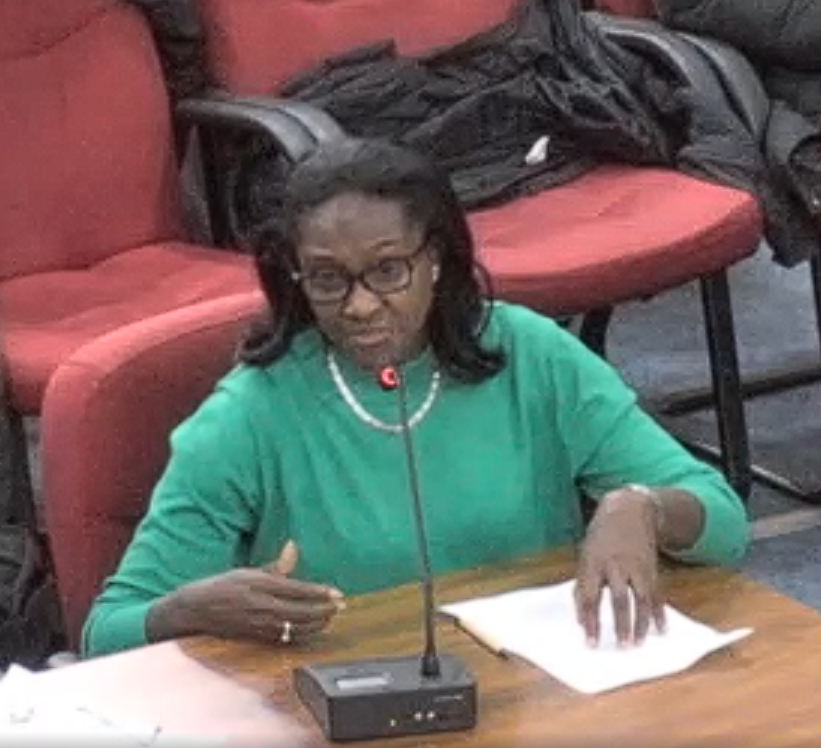 'Environmental racism': council approves rubber crumb football pitch at Whitefoot Lane, Downham