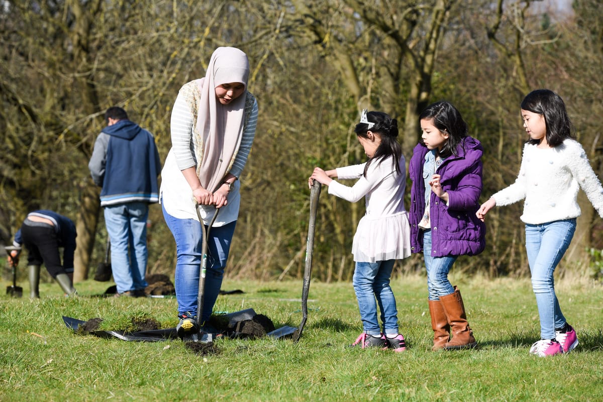 Green Roots: new trees and green skills training for communities across Lewisham