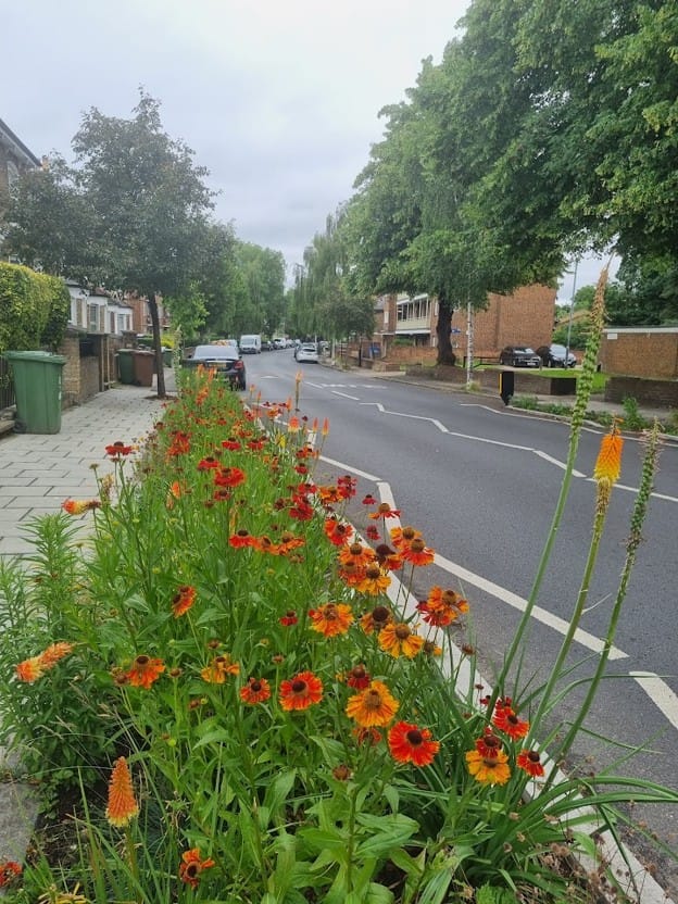 Brockley: Rain gardens bring traffic calming to Malpas Road