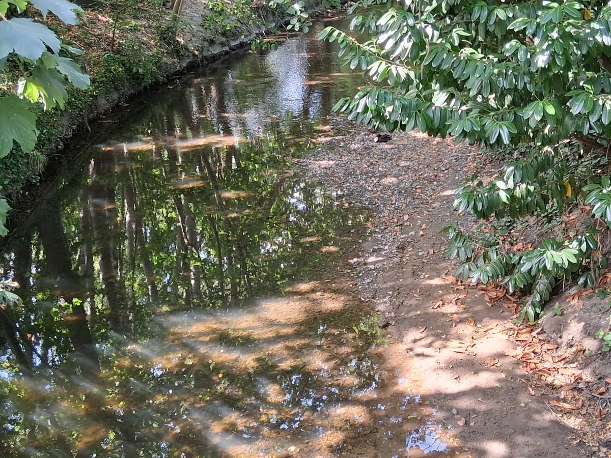 London mayor launches clean rivers and waterways plan