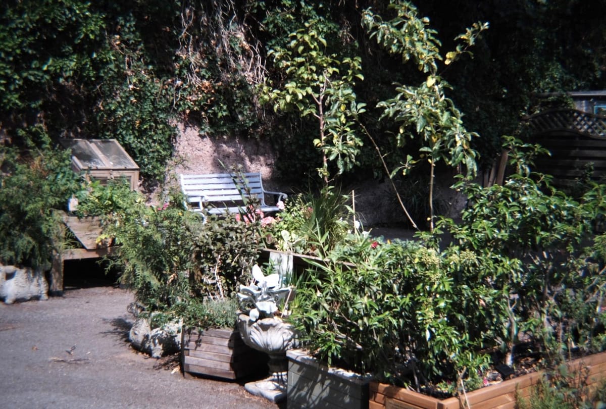 The transformation of a Ladywell flytipping spot .. into a green sanctuary