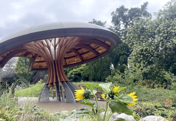 The pavilion structure resembling "not quite a mushroom and not quite a tree"