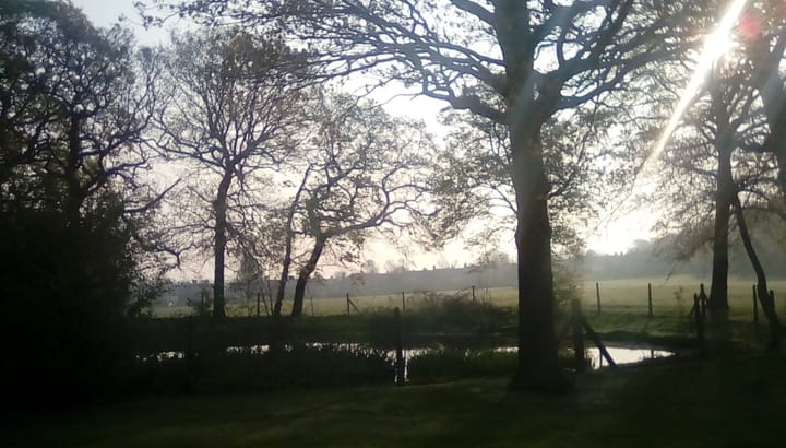 Pond in shaft of sunlight, surrounded by trees with fence and playing fields in background.  