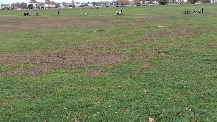 Large muddy patches left on Blackheath after fireworks display.