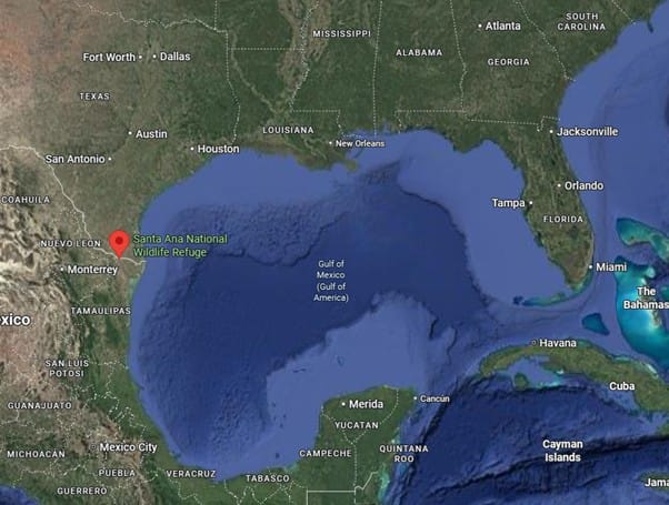 Satellite image of the Gulf of Mexico, blue ocean, with green landmass of US and Mexico coasts.