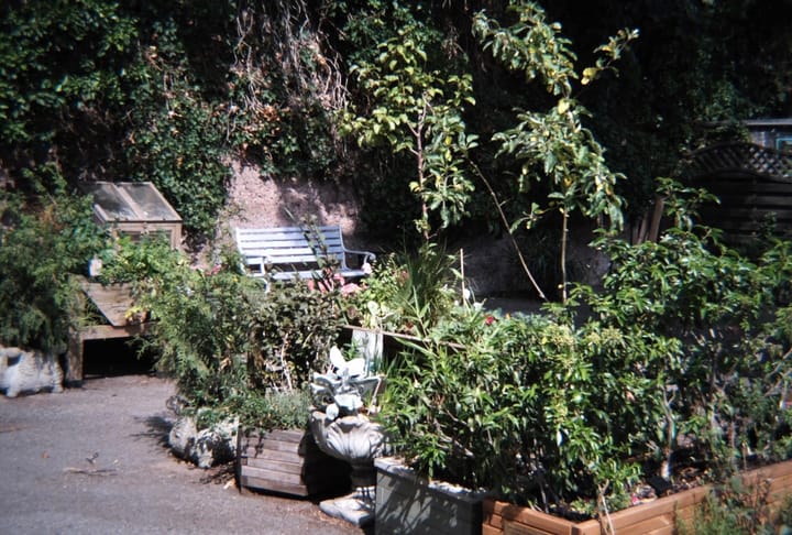 Planters and greenery with bench visible in the background, under shade of a tree. 